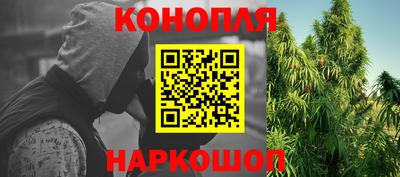гашик Можга