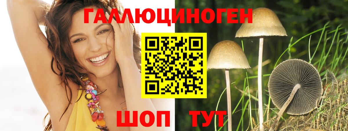 Псилоцибиновые грибы Psilocybine cubensis Юрга